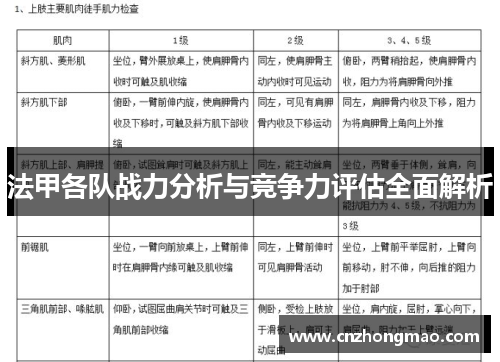 法甲各队战力分析与竞争力评估全面解析