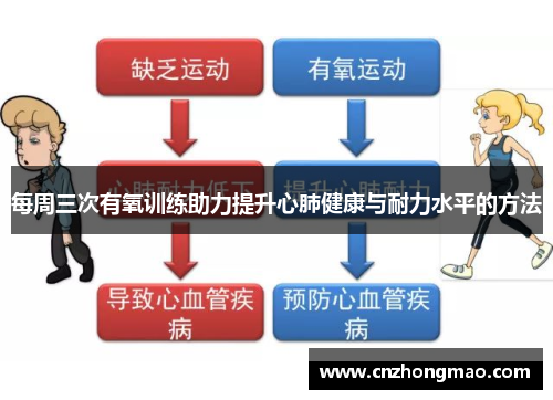 每周三次有氧训练助力提升心肺健康与耐力水平的方法