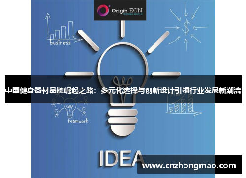 中国健身器材品牌崛起之路：多元化选择与创新设计引领行业发展新潮流